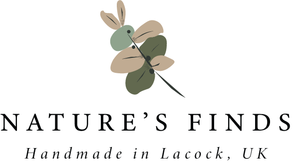 Nature's Finds Studio
