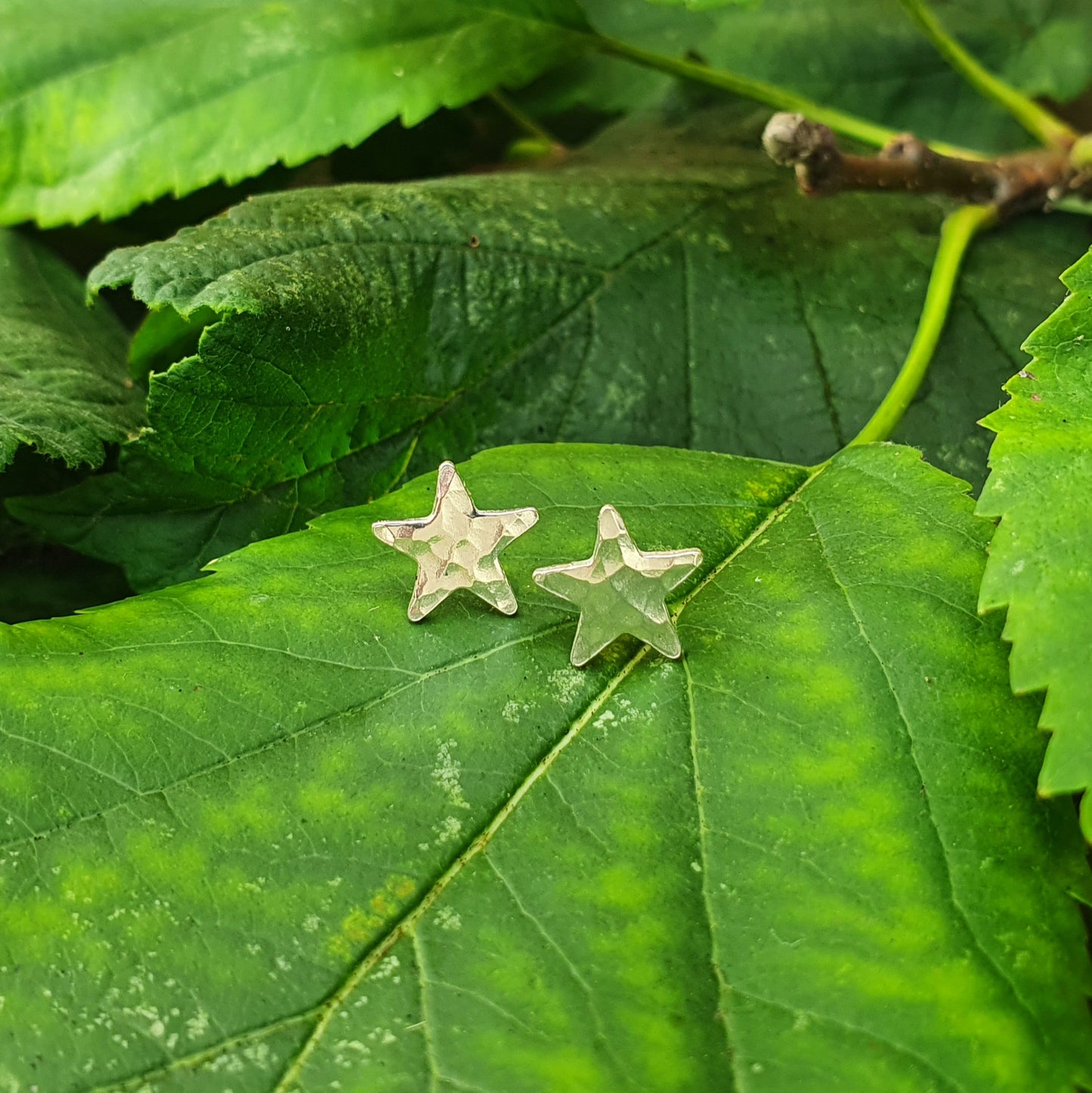 Hammered Star Earrings