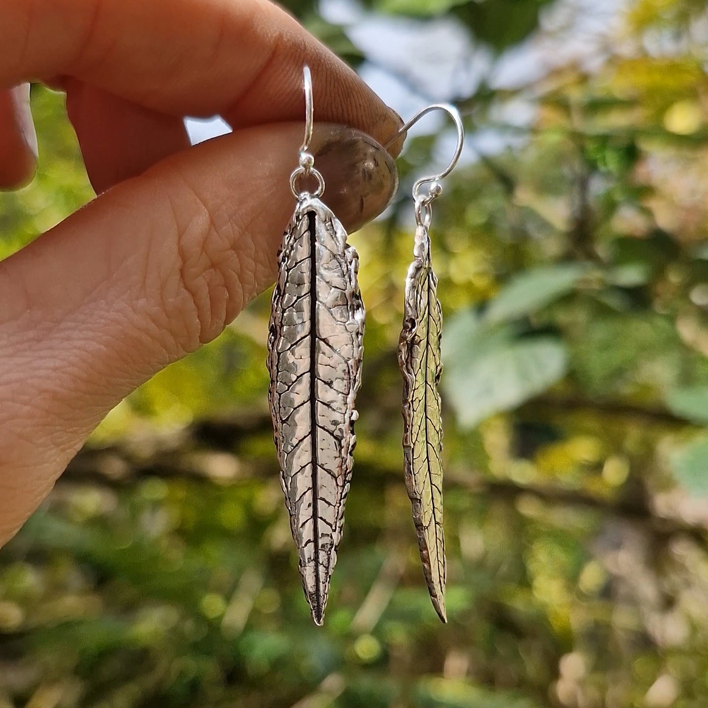 Lacock Leaf Imprint 12