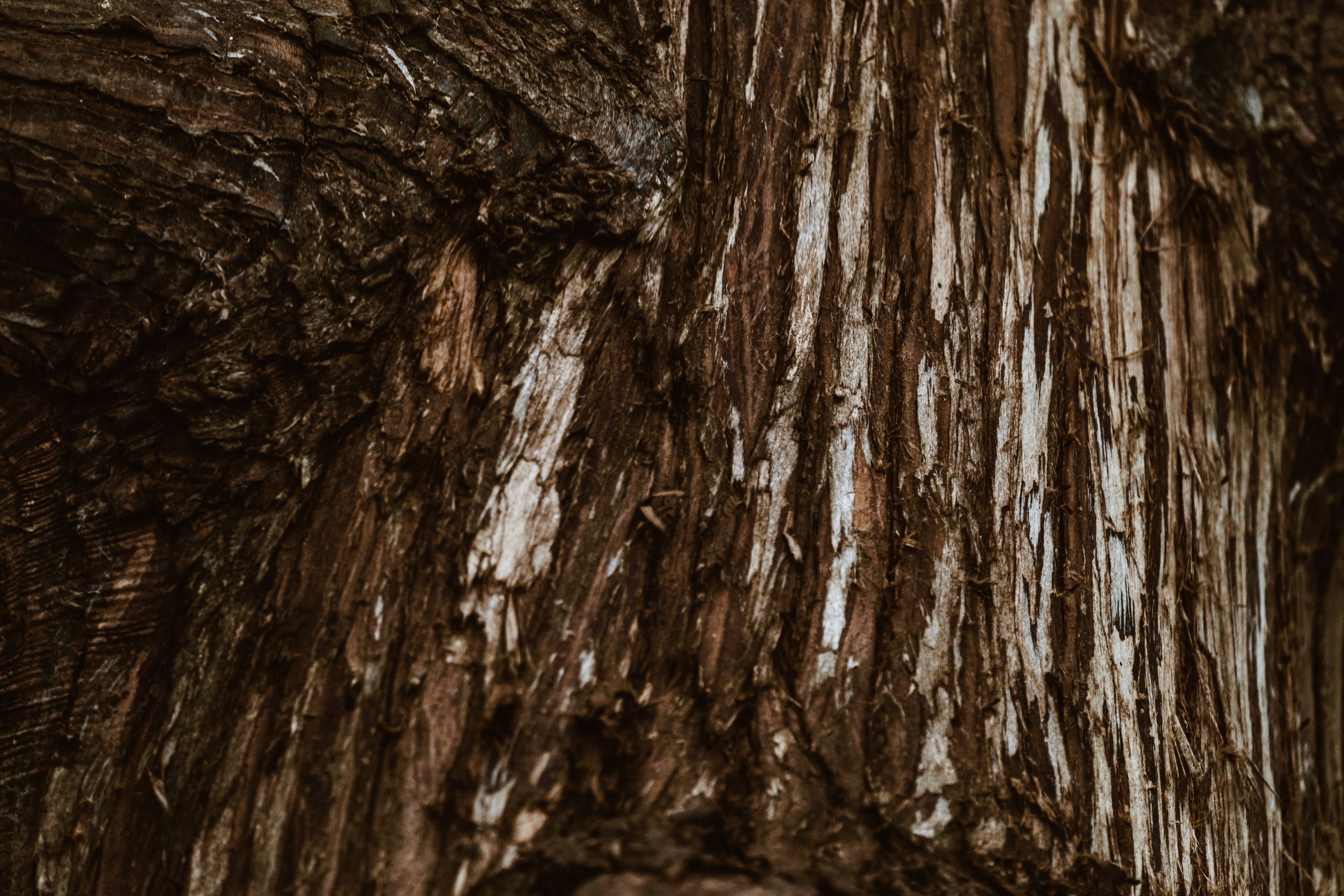 Unique Handmade Sterling Silver Jewellery collection with bark-like linear texture