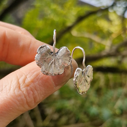 Lacock Leaf Imprint 11