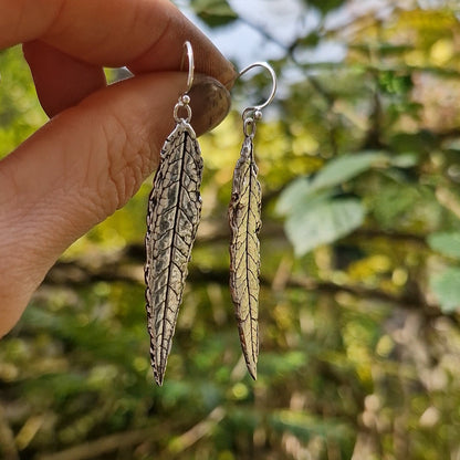 Lacock Leaf Imprint 12