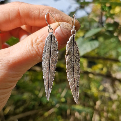 Lacock Leaf Imprint 12