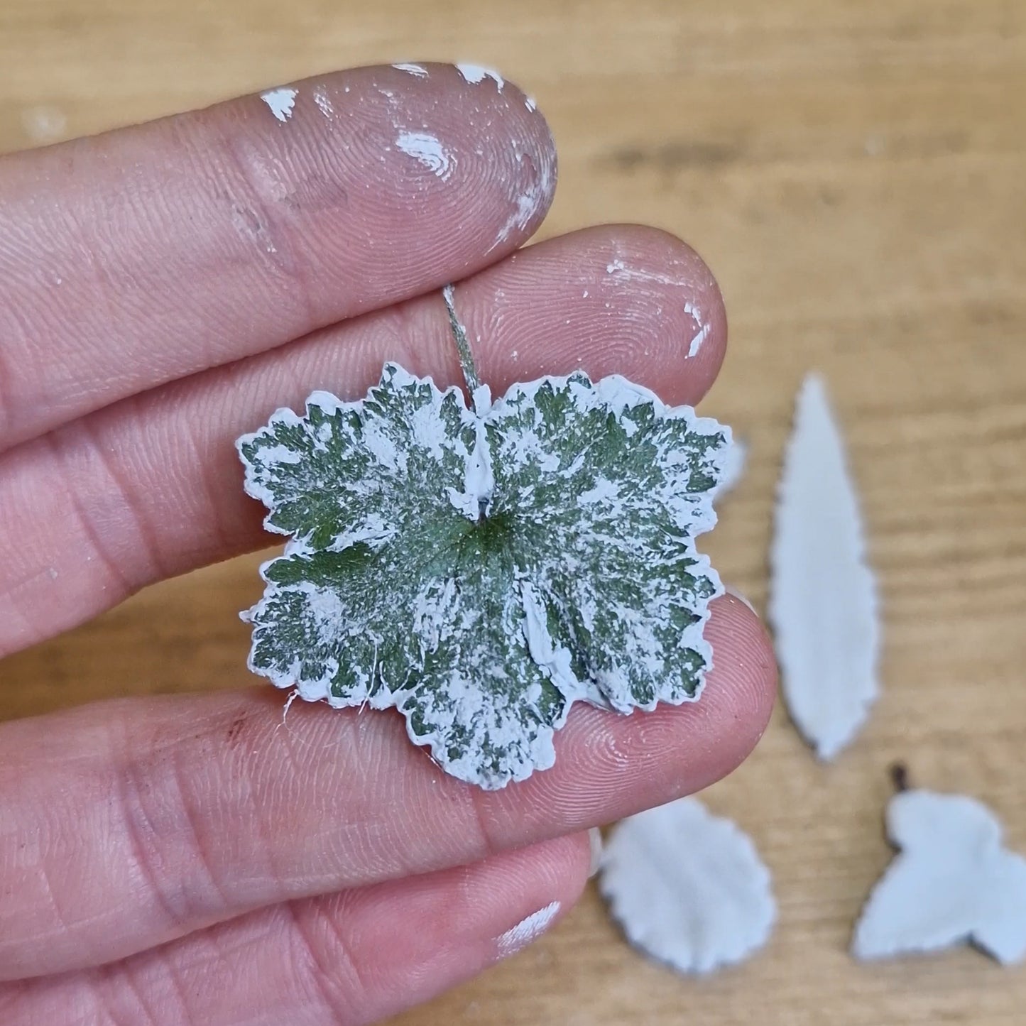 Lacock Leaf Imprint 1 ~ charm only