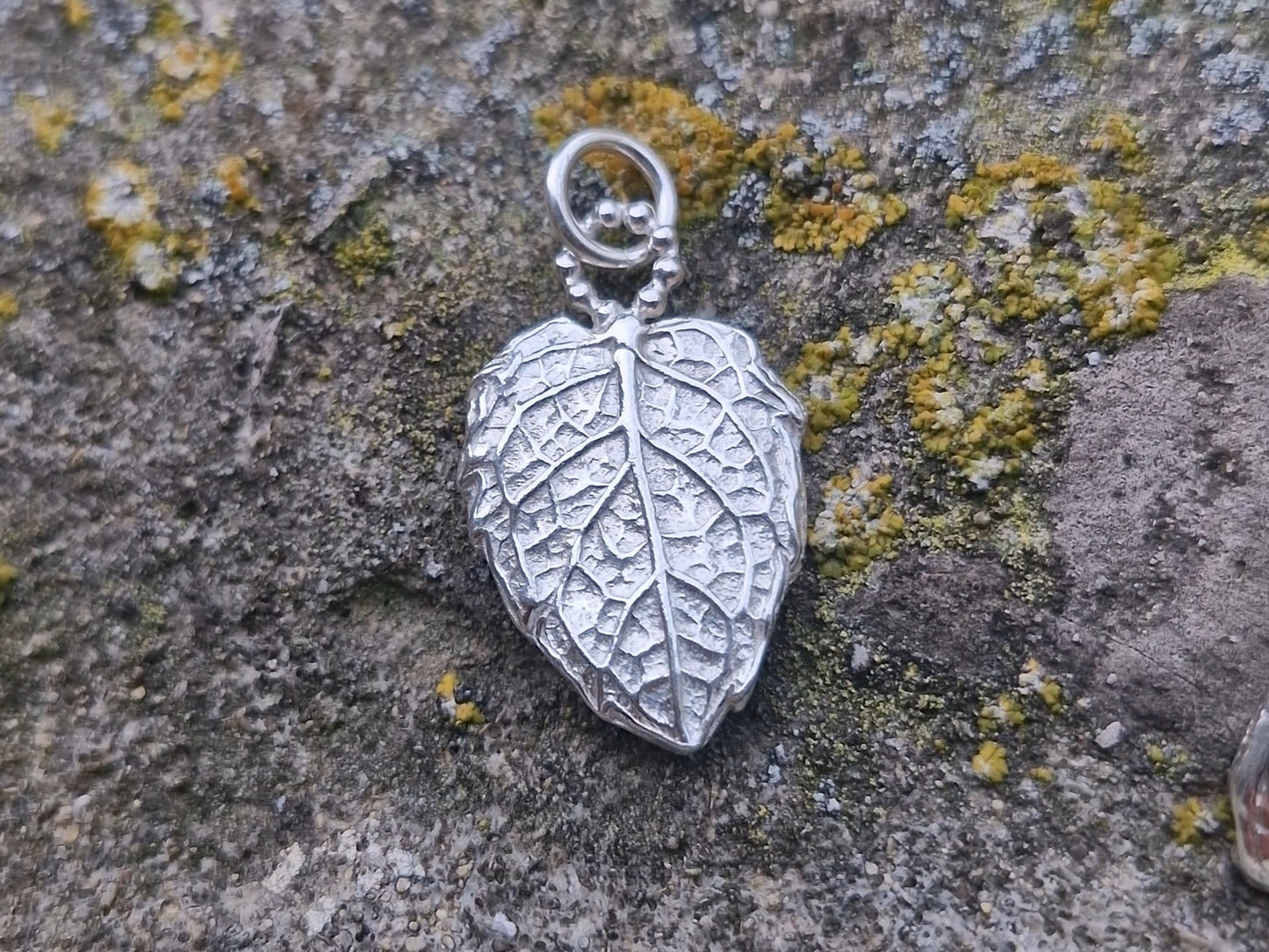 Lacock Imprint ~ Unique Leaf