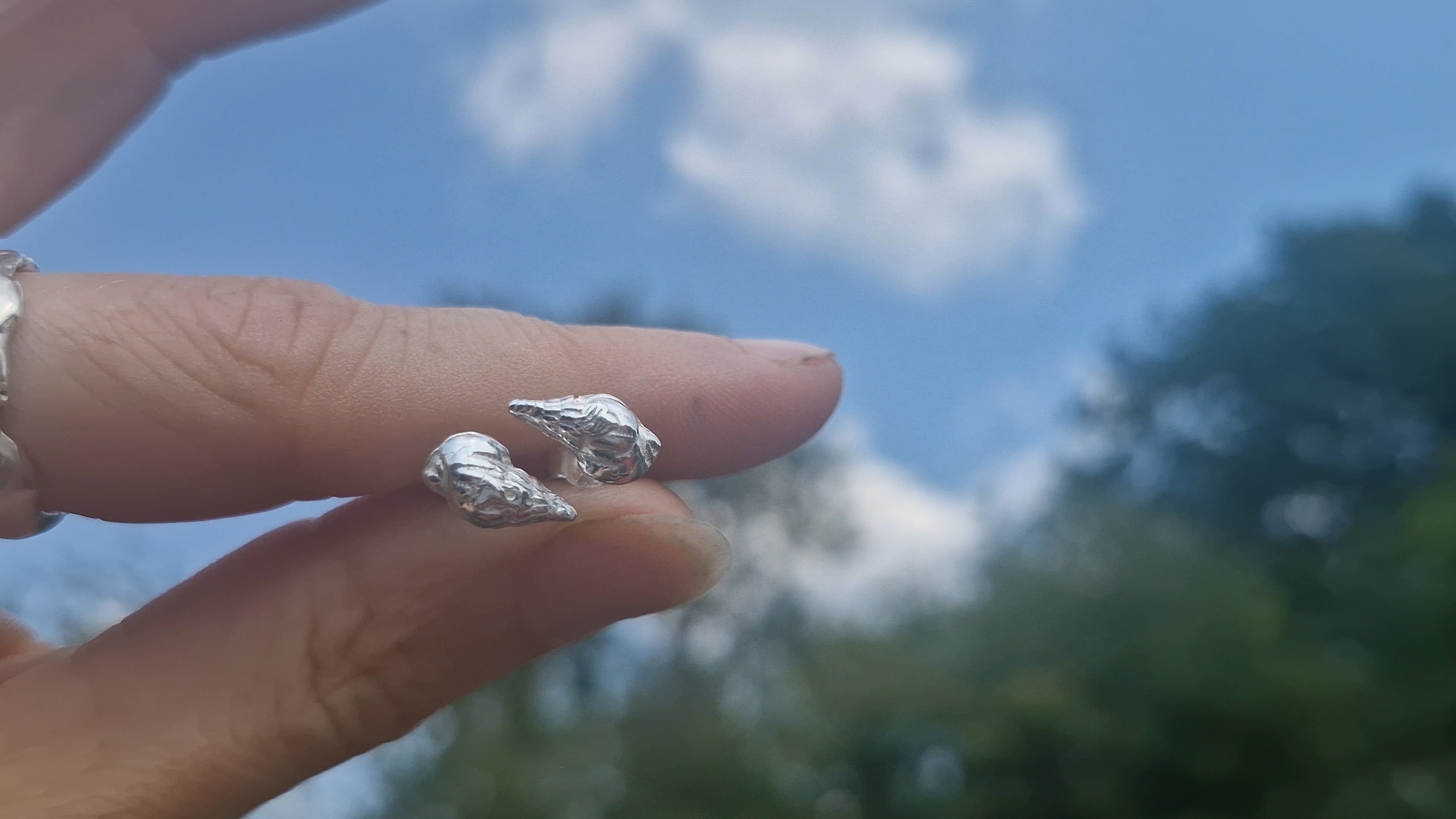 Shell Studs