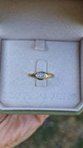 The Scintilla Earth Ring